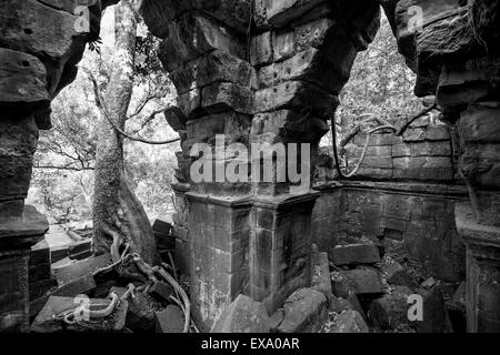 L'Asie, Cambodge, la Province de Siem Reap, arbres lieu par pierre émietté ruines de Beng Mealea Temple Banque D'Images