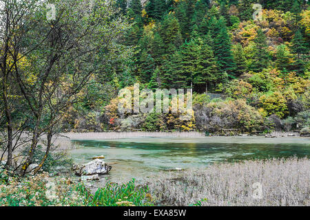 Juizhaigou Parc National dans le Sichuan, Chine Banque D'Images