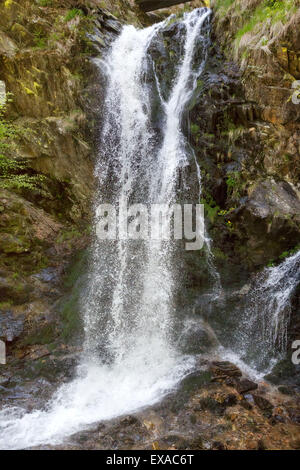 Cascade dans la forêt noire Todtnau-Fahl Banque D'Images