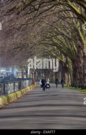 Les gens qui marchent le long d'une avenue de platanes dans Wandsworth Park sur la rive sud de la Tamise à Putney Banque D'Images