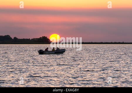 Ibera Parc National, l'Argentine, l'Amérique du Sud Banque D'Images