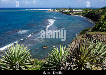 Côte Atlantique, Saint Kitts, Saint Kitts et Nevis, Iles sous le vent, Antilles, Caraïbes, Amérique Centrale Banque D'Images