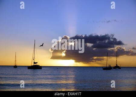 Le coucher du soleil, Saint Kitts et Nevis, Iles sous le vent, Antilles, Caraïbes, Amérique Centrale Banque D'Images