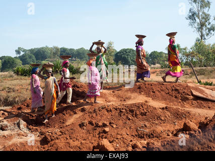 Les femmes, les travailleurs de la construction, dans l'exécution des saris colorés dans des paniers du sol sur la tête, du district de Koraput, Orissa, Inde Banque D'Images