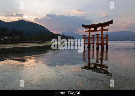 Le Miyajima de torii flottant d'Itsukushima au coucher du soleil, Site de l'UNESCO, l'île de Miyajima, dans l'ouest de Honshu, Japon Banque D'Images