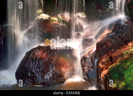 Allemagne, Forêt-Noire : Détail d'une cascade à la cascade de Müllheim Banque D'Images