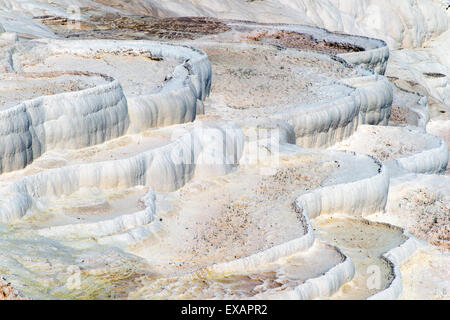 Terrasse travertin formations, Pamukkale, Turquie Banque D'Images