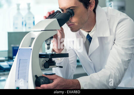 À l'aide de microscope, biologiste Banque D'Images