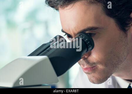 À l'aide d'étudiant microscope Banque D'Images