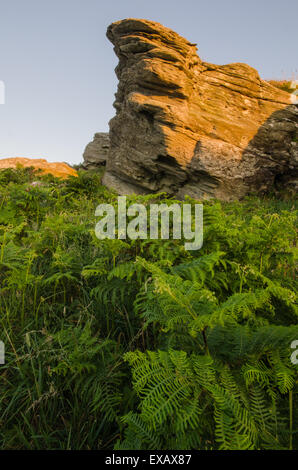 Falaise rocheuse à l'East Prawle, Devon, côte ouest, UK Banque D'Images