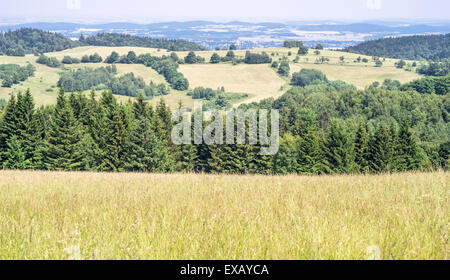 Vue depuis l'été la montagne près de Col Jugowska prairie vers l'ouest des montagnes Sudety Pologne Eulengebirge Hausdorfer Planel Banque D'Images