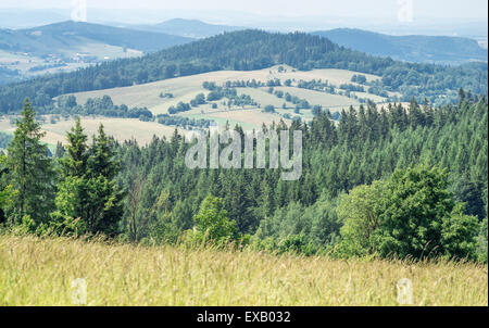 Vue depuis l'été la montagne près de Col Jugowska prairie vers l'Est des montagnes Sudety Pologne Eulengebirge Hausdorfer Planel Banque D'Images