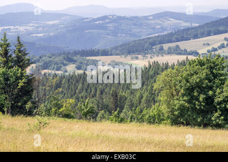 Vue depuis l'été la montagne près de Col Jugowska prairie vers l'Est des montagnes Sudety Pologne Eulengebirge Hausdorfer Planel Banque D'Images