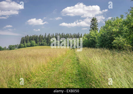 Mountain meadow d'été près de Jugowska chouette passage Eulengebirge Montagnes Sudety Pologne Banque D'Images