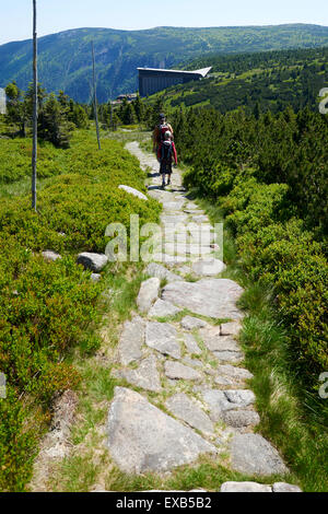 Labska bouda, Zlate Navrsi, Krkonose, Elbe pré, NP monts des Géants, République Tchèque Banque D'Images