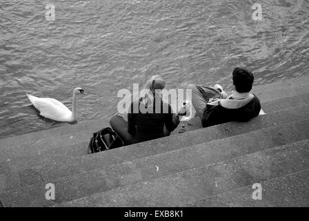 Couple et Swan sur les rives du Rhin, Bâle, Suisse Banque D'Images