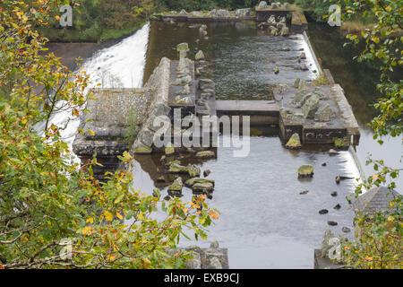 Dolymynach Dam le cadre de la vallée de l'Elan barrages. Pour maintenir le niveau de l'eau inachevée pour plus tard. Claerwen Rivière, Bois-guillaume, Po Banque D'Images