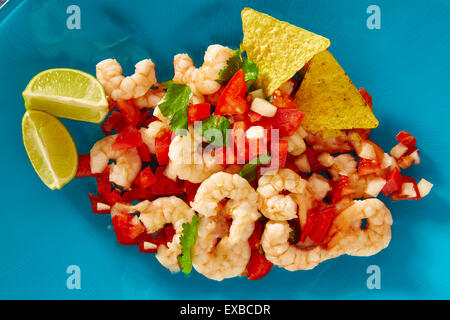 Ceviche de crevettes Camaron nourriture mexicaine sur plaque bleue Banque D'Images