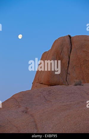 Lune s'élever au-dessus des rochers à Joshua Tree, le parc national Joshua Tree, désert de Mojave, Californie, USA Banque D'Images