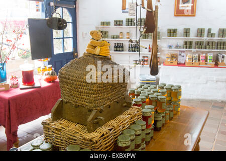 Maison traditionnelle en confitures, miel et confitures en vente à un magasin du village de Berrima, New South Wales australie Banque D'Images