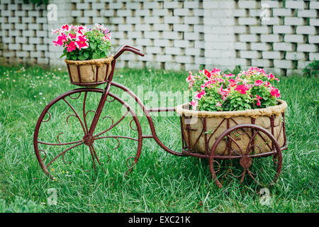 Vieux modèle Vintage de décoration location équipée Panier Fleurs Jardin. Tonique Photo. Banque D'Images