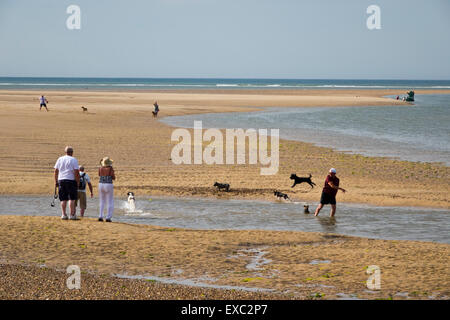 Éclaboussures des chiens sur la plage dans l'eau jouant Banque D'Images