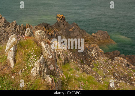 Isle de Whithorn littoral Banque D'Images