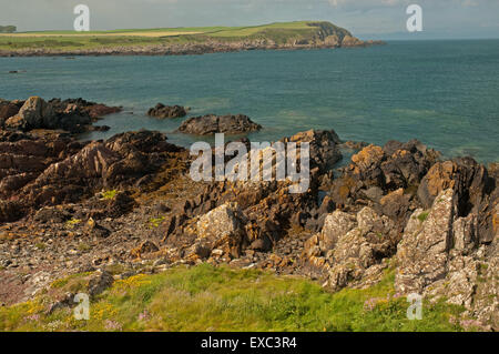 Isle de Whithorn littoral Banque D'Images