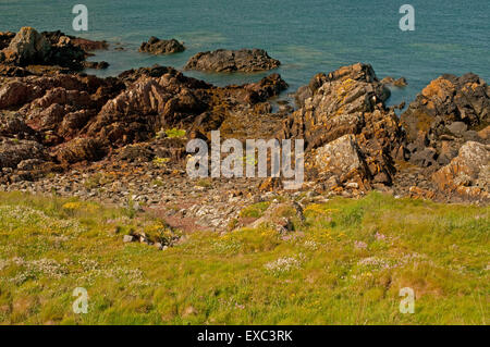 Isle de Whithorn littoral Banque D'Images