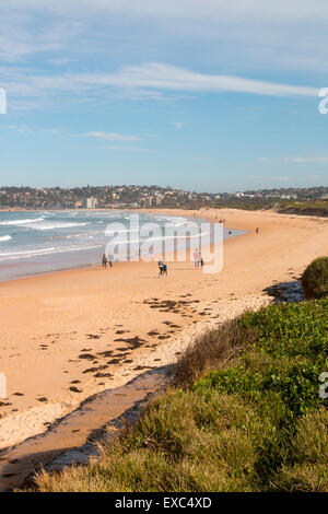 En regardant vers le sud le long de la plage de corail et dans la distance dee pourquoi beach, Sydney, New South Wales, Australie Banque D'Images