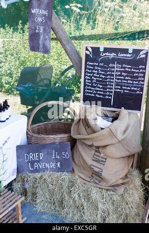 Lordington Lavender Farm, Lordington, Chichester, West Sussex, UK. 10 juillet, 2015. Les visiteurs apprécient la lavande sur une journée portes ouvertes un Banque D'Images