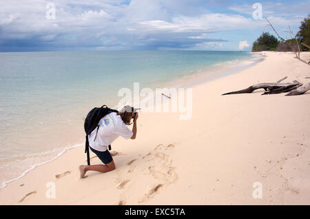 Homme marchant le long des rives sablonneuses de l'Océan Indien, Denis Island, Seychelles Banque D'Images