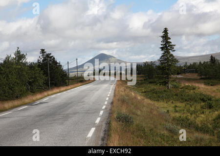 Vue sur la route, les arbres et le sommet de la montagne, Norvège Banque D'Images