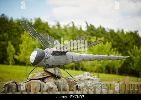 Delamere Park art public d'un dragon fly sculpté Banque D'Images