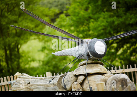 Delamere Park art public d'un dragon fly sculpté Banque D'Images