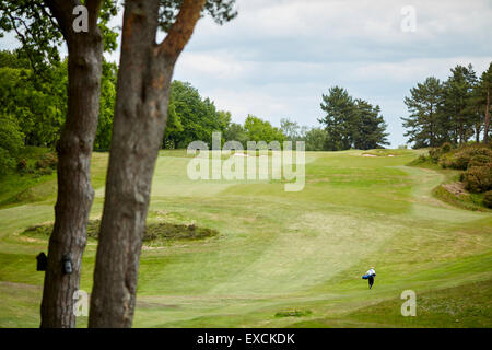 Photo Delamere Forest Golf Club temps libre cours d'herbe relaxante créée en 1910 et conçu par l'éminent archit Banque D'Images