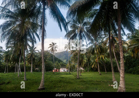 Camping rustique au pied de la Sierra Madre de Santa Marta en Colombie, Parc National Naturel de Tayrona. Le parc est l'un des m Banque D'Images