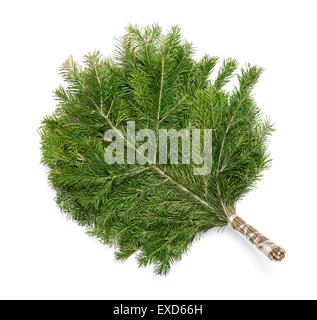 Sauna Juniper balai isolated on white Banque D'Images