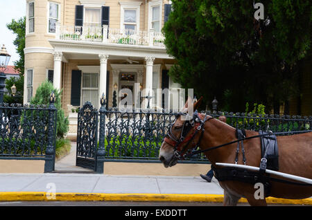 Cornstalk Hotel New Orleans quartier français Elvis Presley hantée calèche mule Banque D'Images