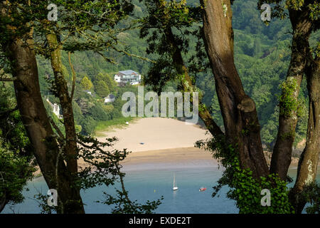 Mill Bay Beach, Devon vu de là-haut, dans l'ensemble de l'estuaire de la rivière Salcombe Banque D'Images