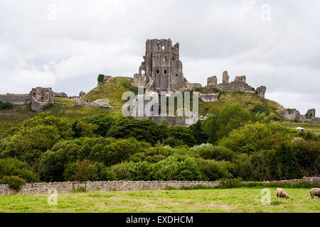 Les spectaculaires ruines perchées de Corfe Castle et le garder dans le Dorset, en Angleterre. Le donjon normand, détruit dans la guerre civile, surplombe le village de Corfe. Banque D'Images