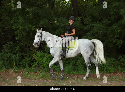 Les jeunes equestrienne équitation sur un cheval gris Banque D'Images