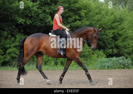 Les jeunes equestrienne équitation sur un cheval brun Banque D'Images