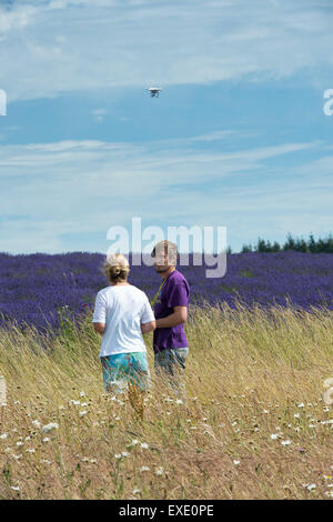 Aux commandes d'un couple multi RC drone hélicoptère rotor avec caméra au-dessus de champs de lavande à Gloucestershire Angleterre ferme Snowshill Banque D'Images