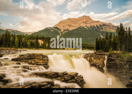 Les chutes Athabasca, Jasper National Park, Alberta Canada Banque D'Images