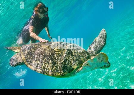 Vue sous-marine à tortue de mer verte et une jeune femme, Marsa Alam, la baie d'Abu Dabbab, Red Sea, Egypt Banque D'Images