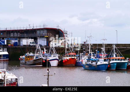 Bateaux de pêche colorés amarrés au port de Bridlington, East Riding of Yorkshire, Angleterre, Royaume-Uni Banque D'Images