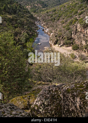 Vue sur maquis méditerranéen en Sierra de Cardeña-Montoro Parc Naturel. L'Andalousie. L'Espagne. Banque D'Images