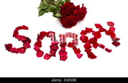 Texte 'pardonner' aussi bouquet de roses rouges Banque D'Images