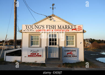Young's Fish Market, Orléans, Cape Cod, Massachusetts, USA Banque D'Images